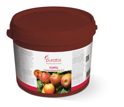 Topfil Jabuka Tatin Stil 76%