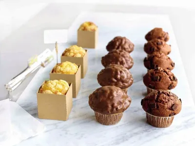 Tegral Muffins